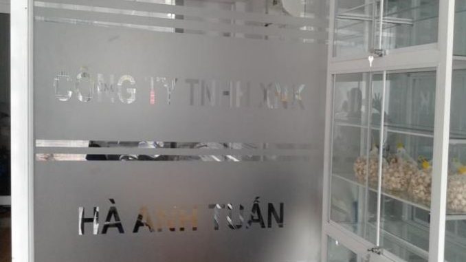 mua decal dán kính ở đâu TPHCM4