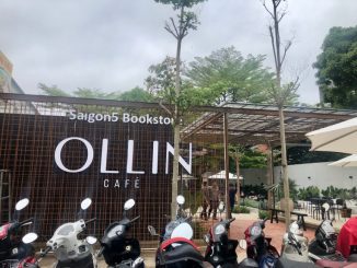 ollin cafe