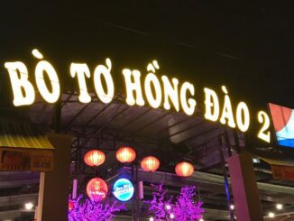 bò tơ hồng đào