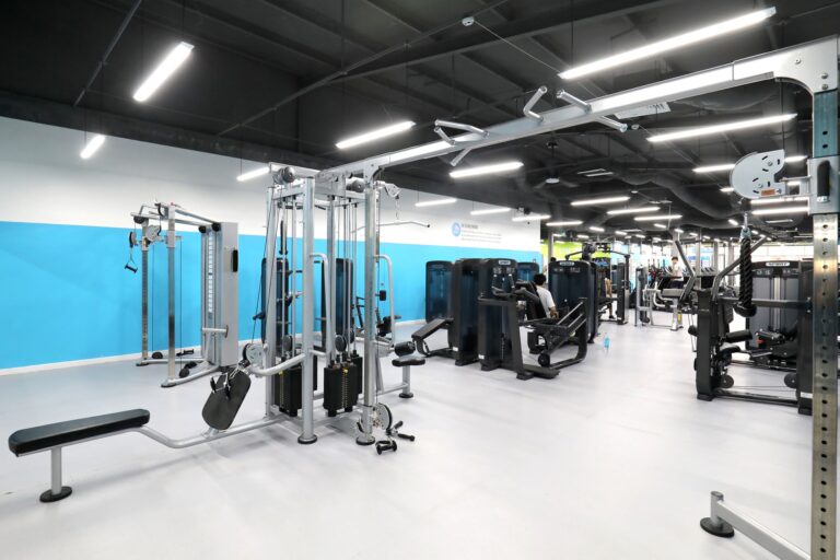 The New Gym